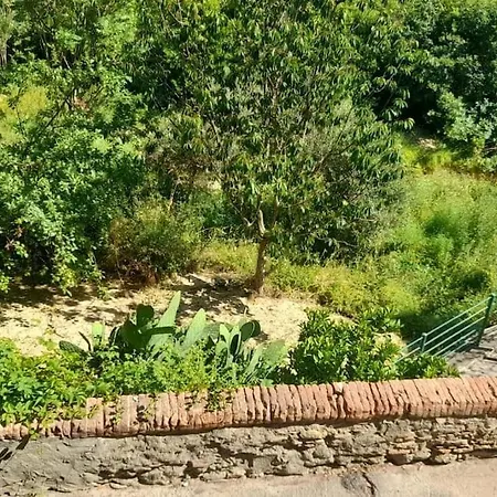 Apartment Casa Il Fico